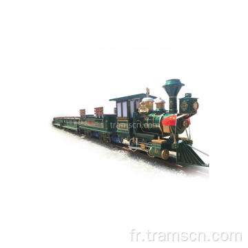 Locomotive de vapeur de parc de vapeur